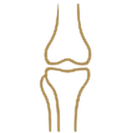 Approved Restora gold line-art treatment illustration