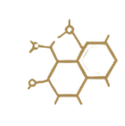 Approved Restora gold line-art treatment illustration